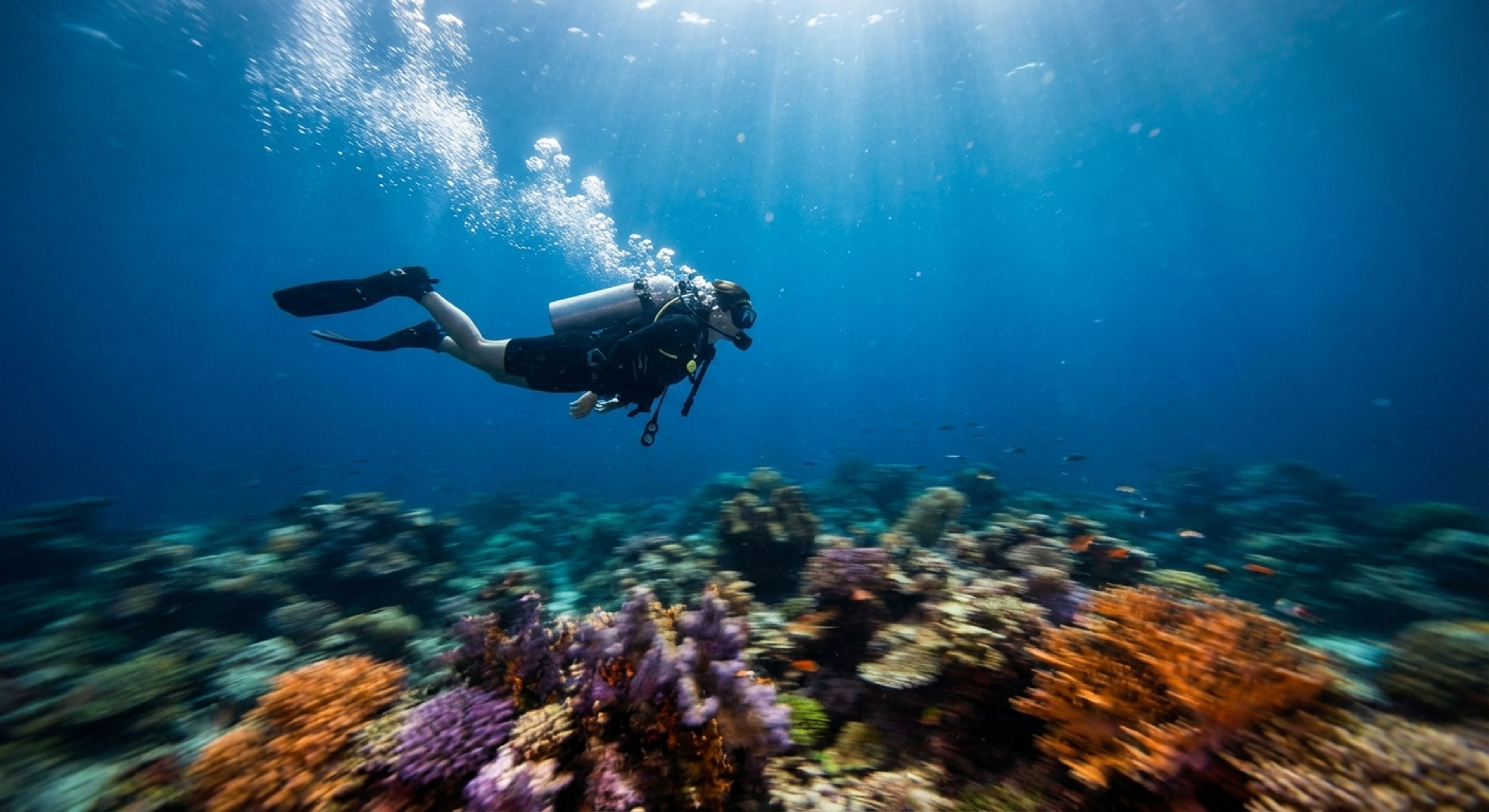 Drift Diving: How to Fly Underwater Without Growing Wings
