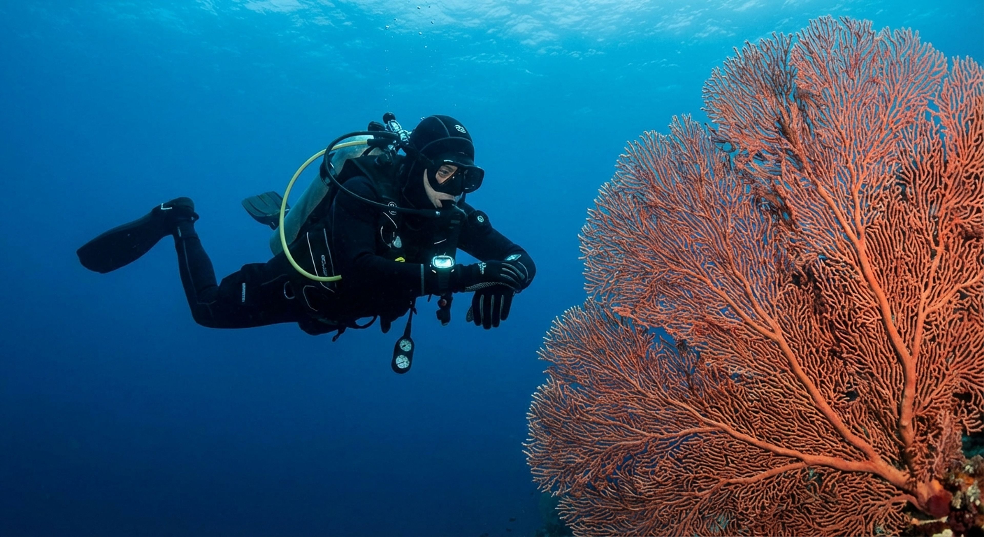 A diver hovering perfectly