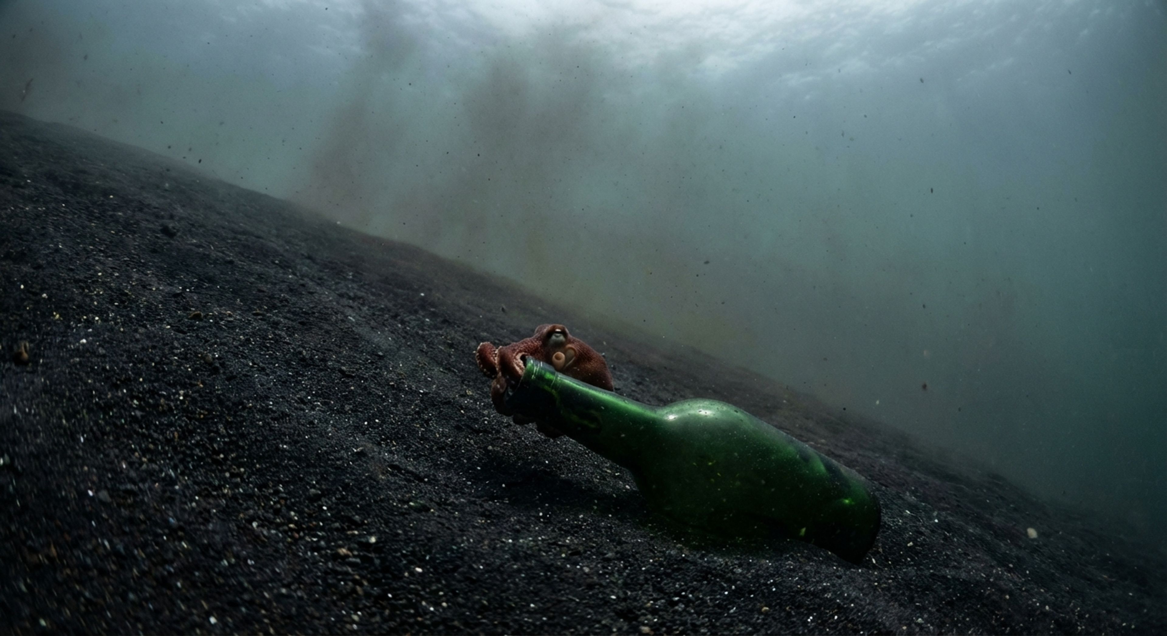 Black Sand Environment