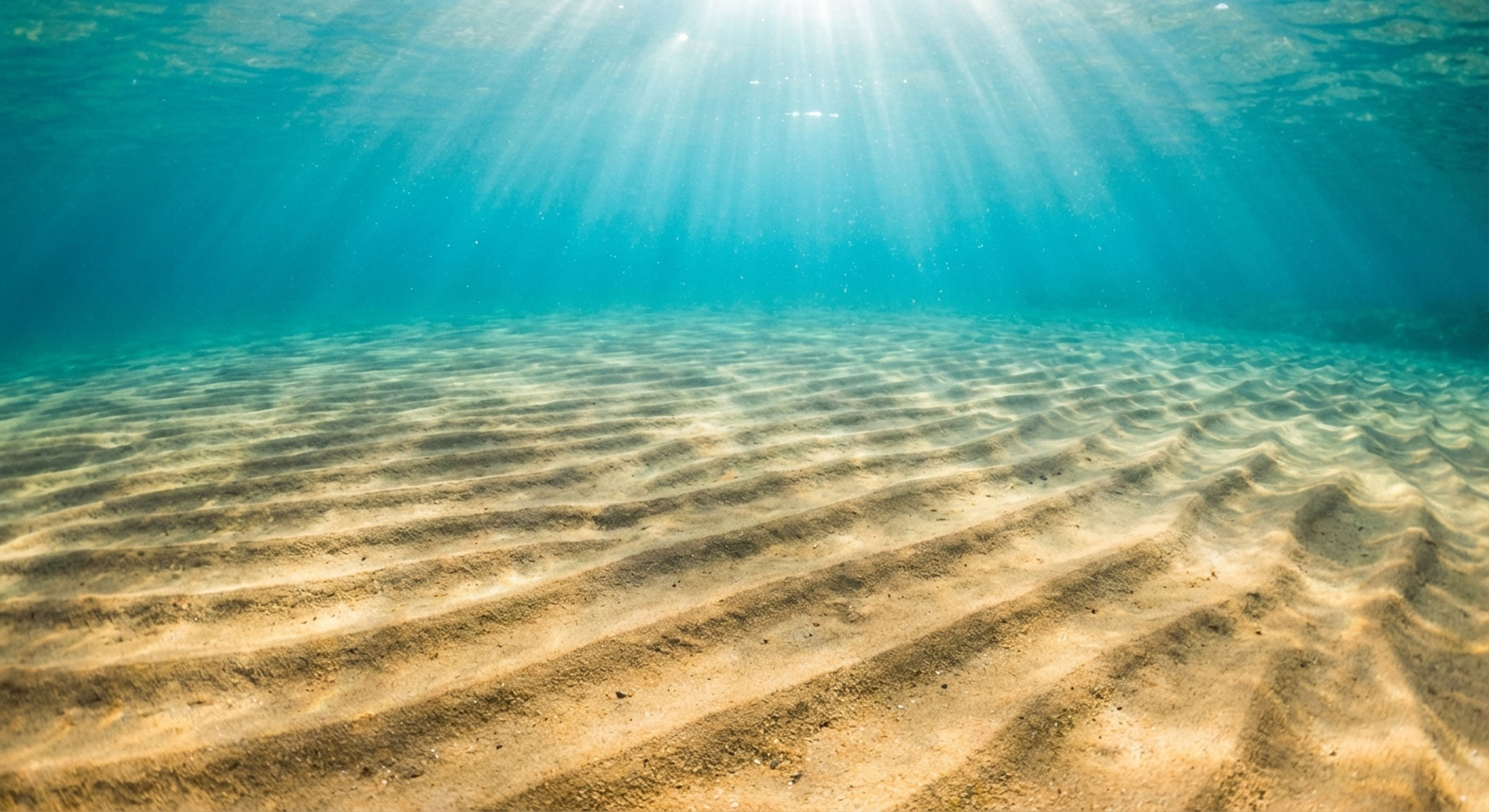 Sand ripples underwater